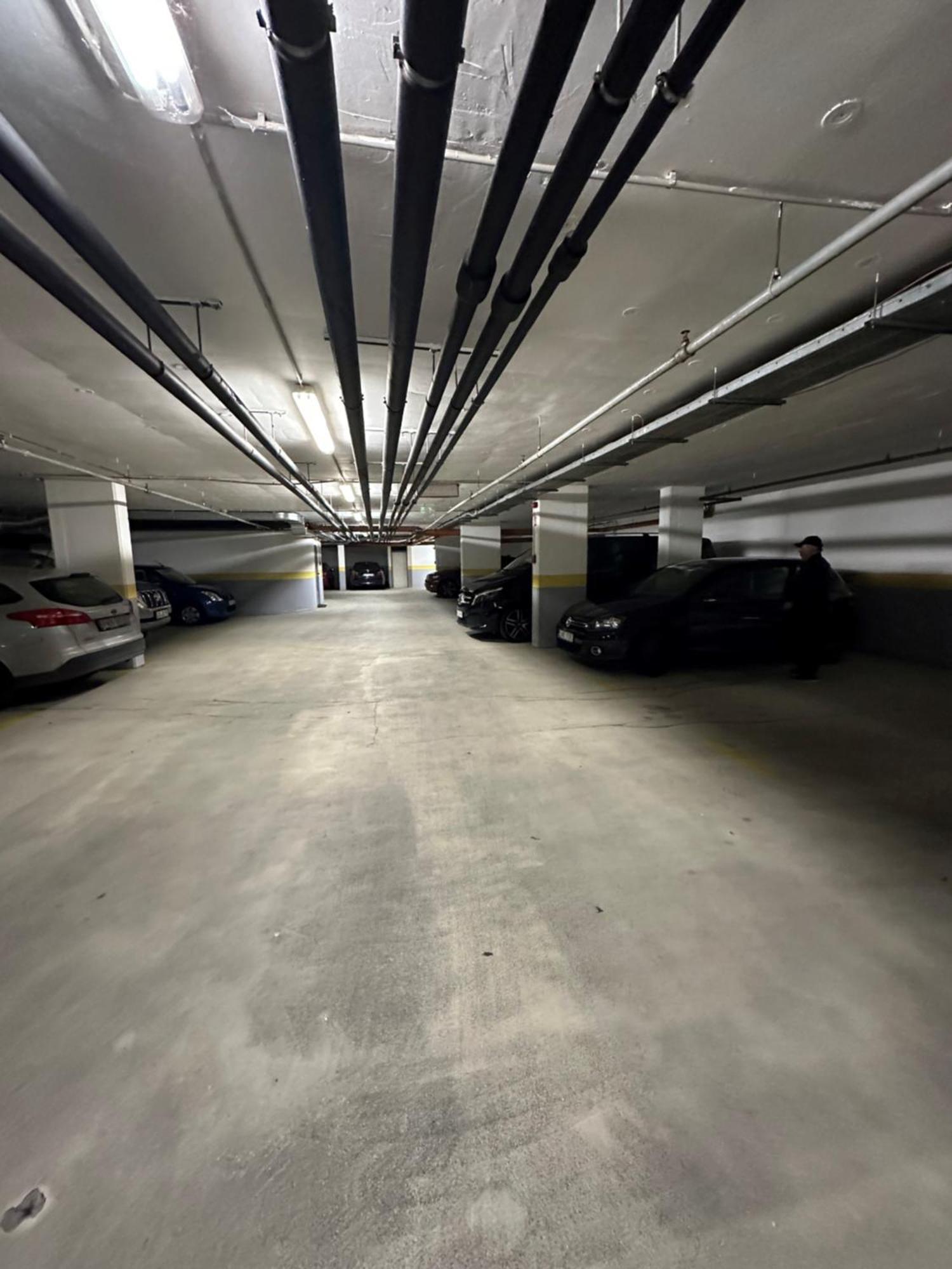 Peony Szekely Mihaly Apartment - Free Garage Budapest Kültér fotó